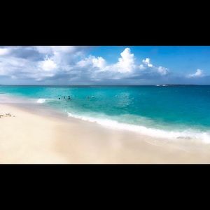 Meet your Posher, Felicia